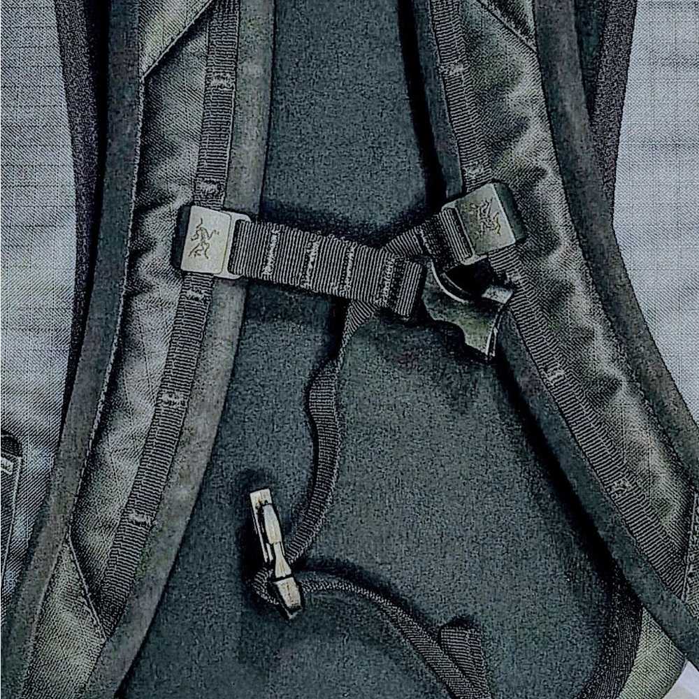 Arc'teryx Black Men's rare special edition Backpack - Picture 4 of 5